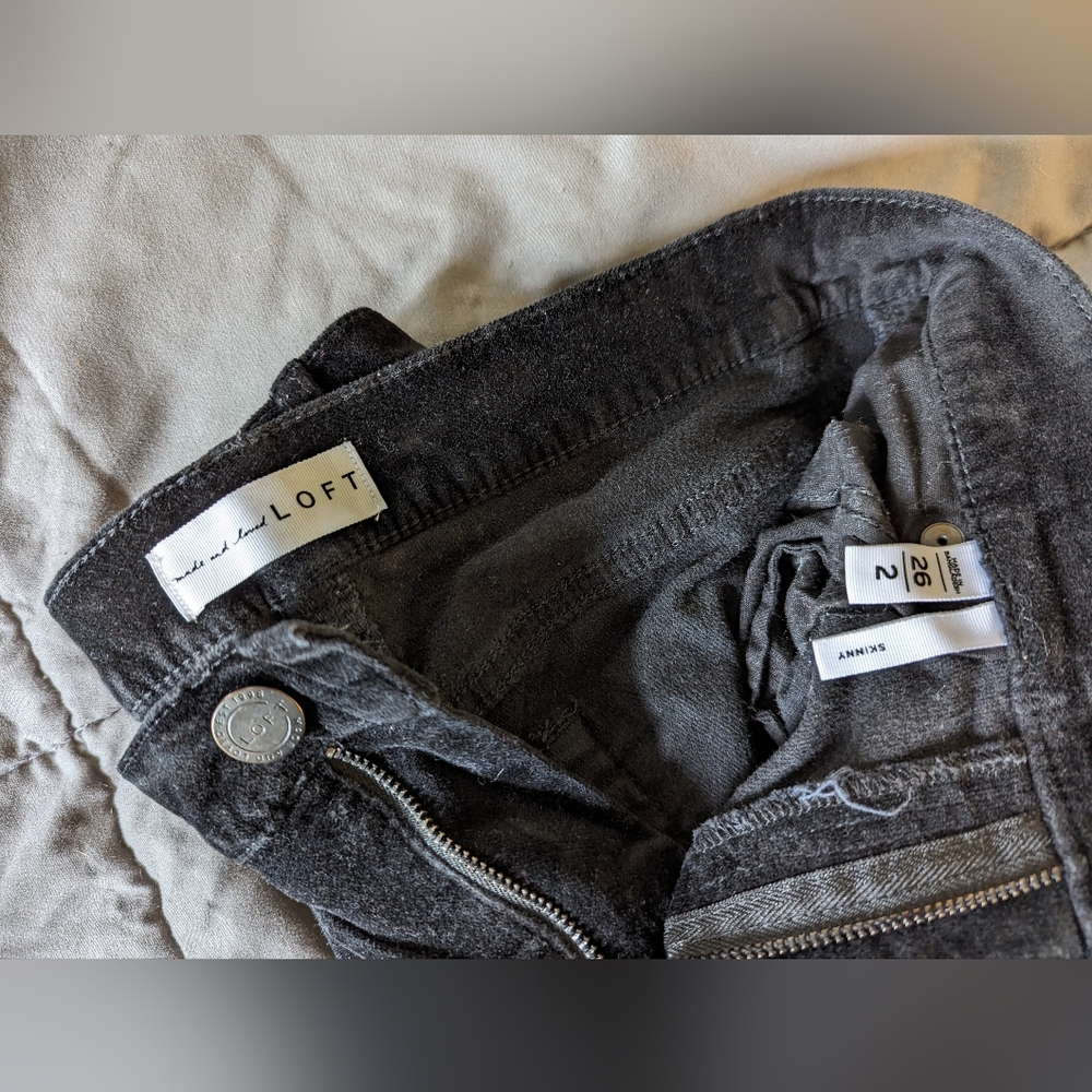Loft Velvet Skinny Pants Size 26/2